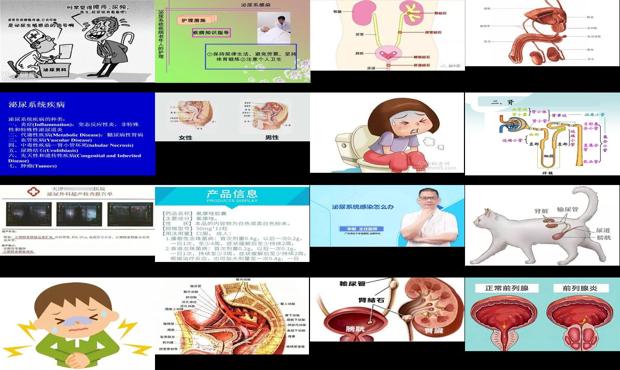 汕头泌尿科医院地址 - 汕头泌尿系统炎症怎么办