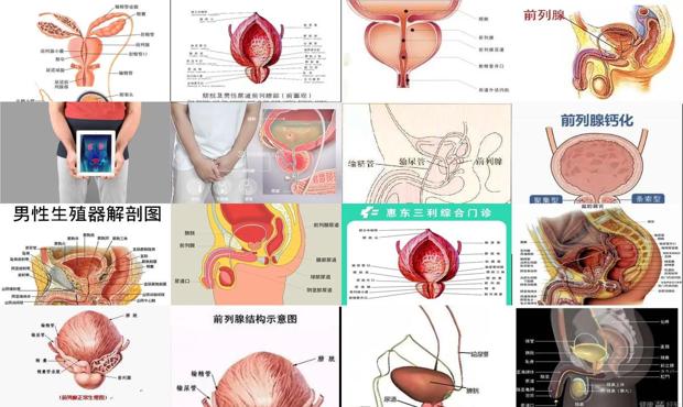 汕头在广东什么位置 - 汕头什么是前列腺