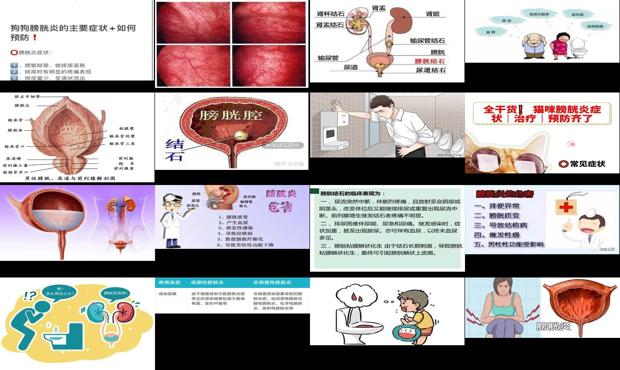 膀胱炎发炎是什么症状 - 汕头膀胱发炎症状