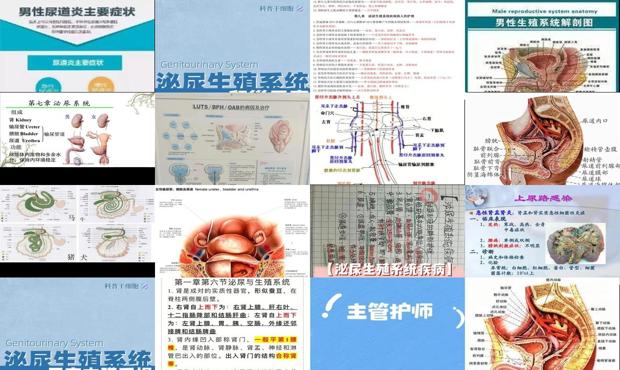 泌尿生殖系微波治疗 - 汕头泌尿生殖系统炎症症状