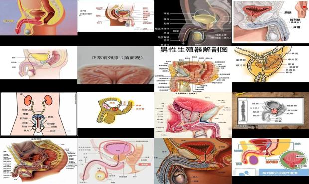 汕头中心医院前列腺检查多少钱一次 - 汕头前列腺在哪里