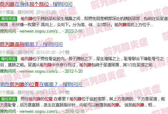 汕头前列腺是指哪个部位