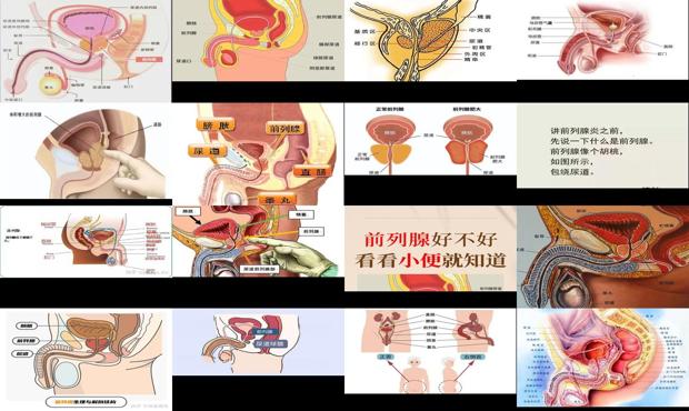 前列腺在医院属于什么科 - 汕头前列腺在人体什么部位
