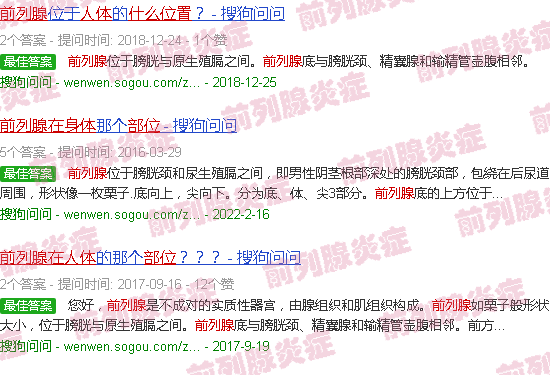 汕头前列腺在人体什么部位