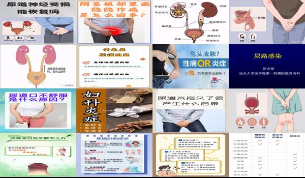 你讲讲这个尿道炎是怎么回事 - 汕头尿道炎症什么情况