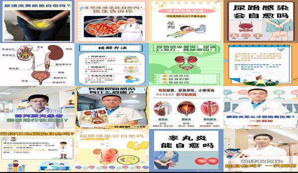 泌尿系统炎症能治愈吗 - 汕头泌尿系统炎症会自愈吗